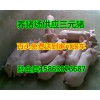 批发小猪/苗猪/三元猪多少钱一斤15863876687