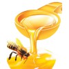 求购蜂蜜 蜂花粉 蜂王浆