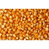 长期求购玉米2000吨