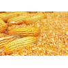 大量收购玉米， 大豆，高粱，小麦，麸皮，酒糟粉