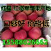 山东苹果基地大量供应优质纸膜袋【红富士】【红将军】