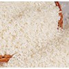 长期采购大米，小麦，高粱，糯米，玉米