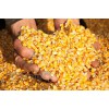 常年求购豆粕玉米麸皮油糠高粱等饲料原料