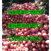 2016年山东红富士苹果产地今年红富士苹果价格行情