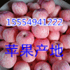山东红富士苹果产地直销批发价格冷库红富士苹果多少钱一斤