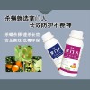 广西地区沃柑红蜘蛛防治药有效的打柑橘红蜘蛛药杀螨剂生产商