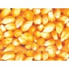 收购：玉米小麦高粱大米碎米木薯淀粉