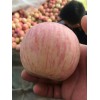 陕西渭南纸袋红富士苹果价格