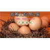 无锡农家土鸡蛋零售|无锡农家土鸡蛋零售加盟|新粤农场供