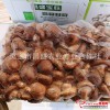 昌盛宝菇优质鲜香菇精挑细选厂家直销批发一件500kg起批